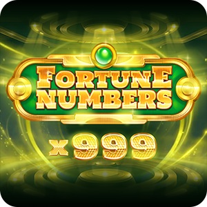 FORTUNE NUMBERS
