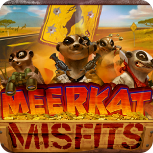MEERKAT MISFITS