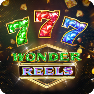 WONDER REELS