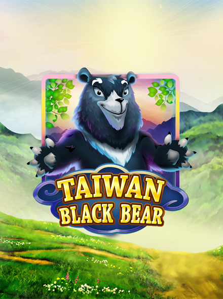 Taiwan Black Bear