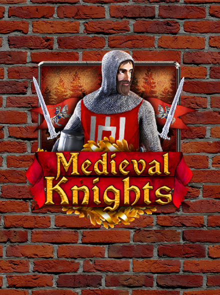 Medieval Knights