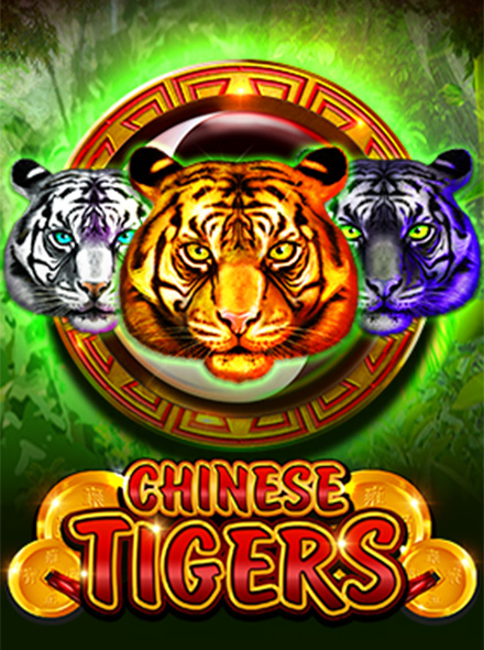 Chinese Tigers