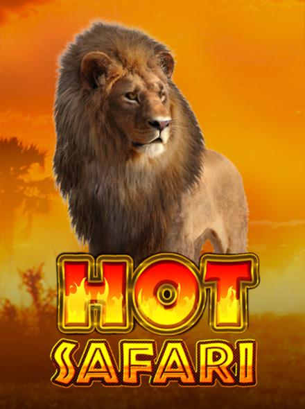 Hot Safari