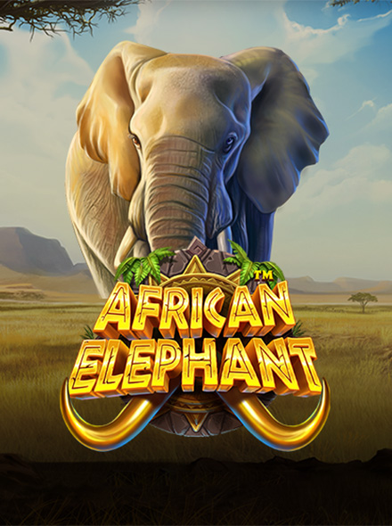African Elephant™