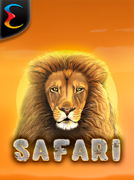 Safari
