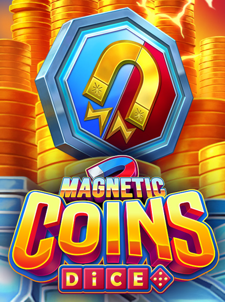 Magnetic Coins Dice