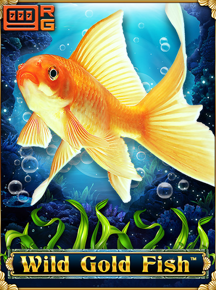 Wild Gold Fish