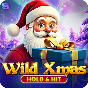 WILD XMAS -  HOLD & HIT