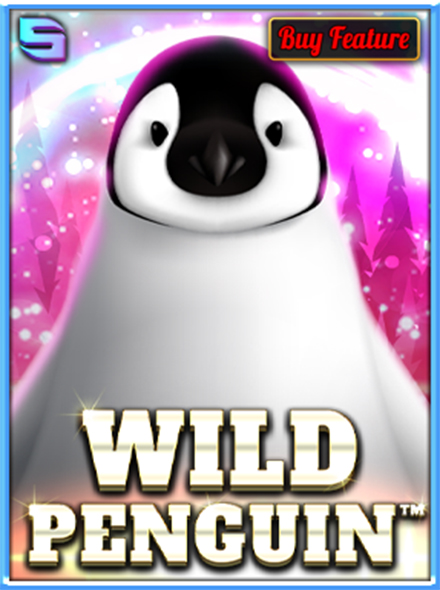 Wild Penguin