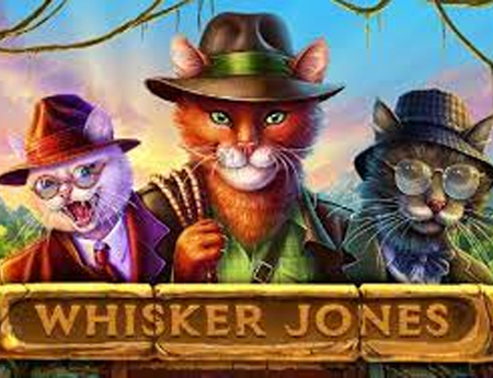 Whisker Jones
