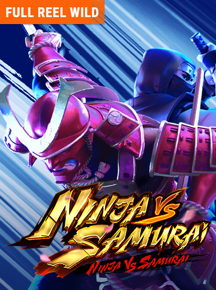 Ninja vs Samurai