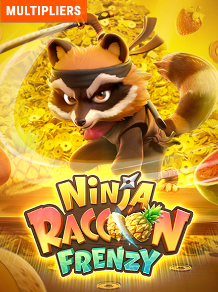 Ninja Raccoon Frenzy