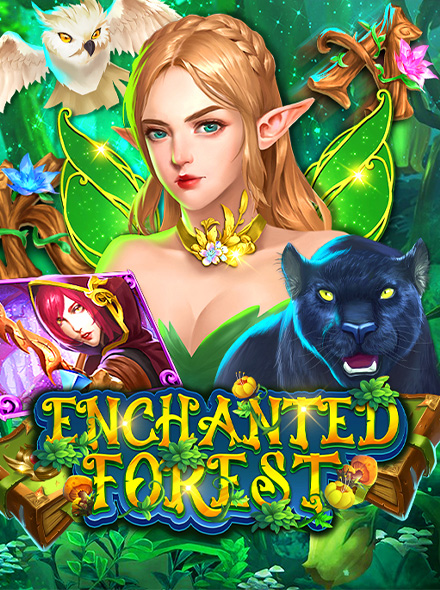 Enchanted Forest