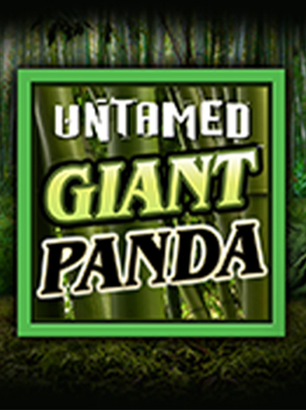 Untamed - Giant Panda