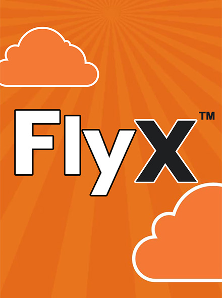 FlyX