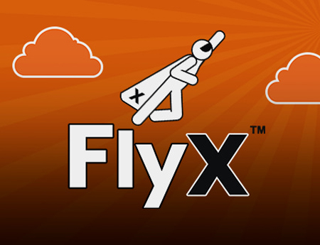 FlyX