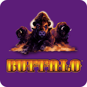 Buffalo