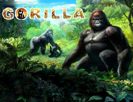 Gorilla