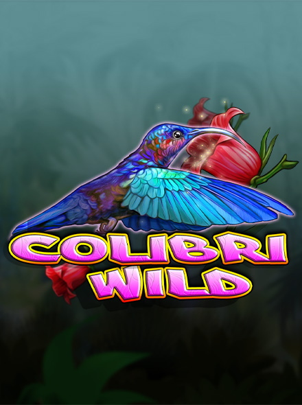 Colibri Wild