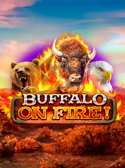 Buffalo on fire!