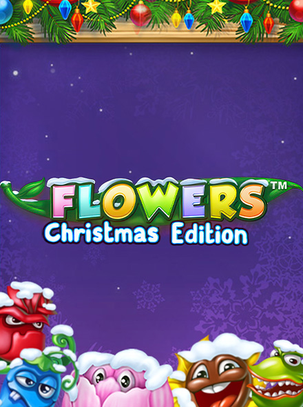 Flowers Christmas Edition