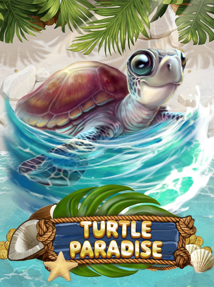 Turtle Paradise