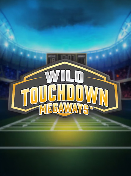 Wild Touchdown