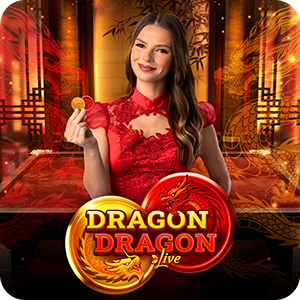 Dragon Dragon