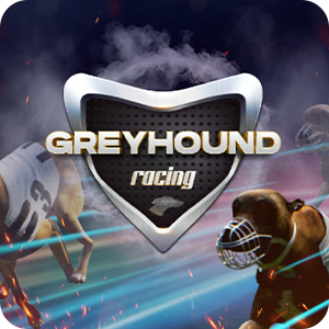 VIRTUAL GREYHOUNDS