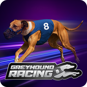 Virtual 8 Greyhounds