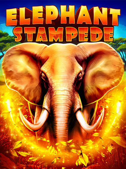 Elephant Stampede