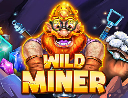 Wild Miner