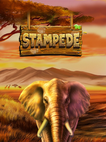 Stampede
