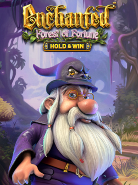 Enchanted Forest of Fortune: Hold and Win