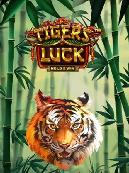 Tiger's Luck: Hold and Win