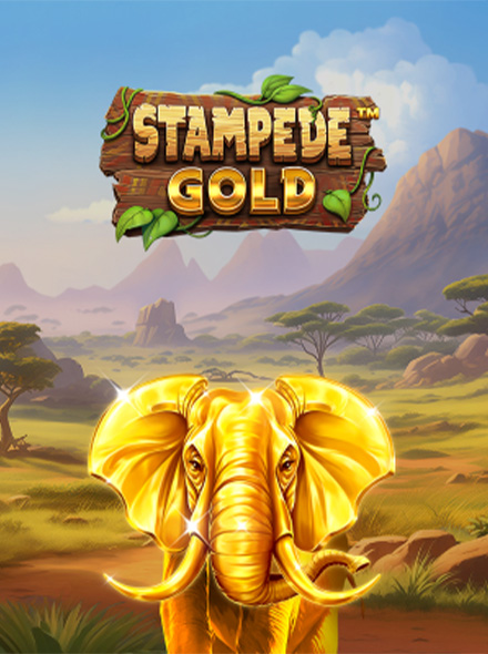 Stampede GOLD