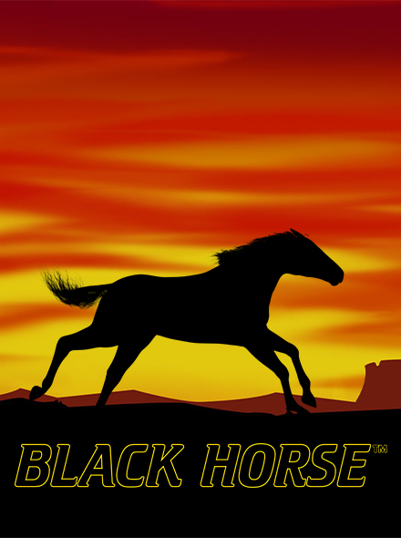 Black Horse